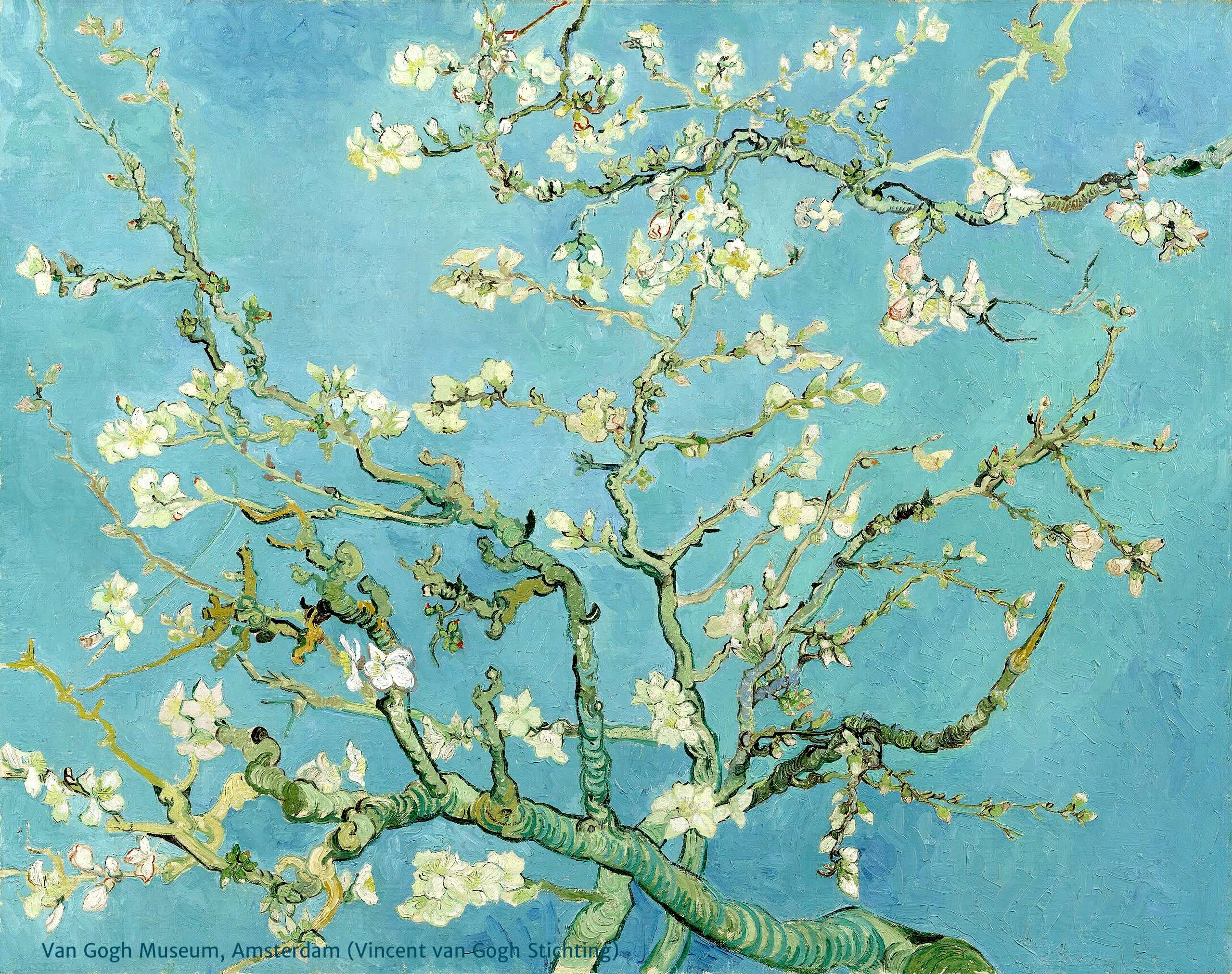 Gemälde eines Mandelbaums in Blüte von Vincent van Gogh
